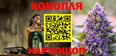 гашик Кулебаки
