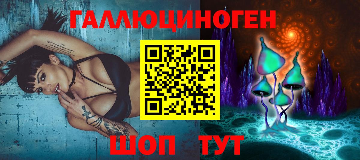 Галлюциногенные грибы Psilocybine cubensis Ишим