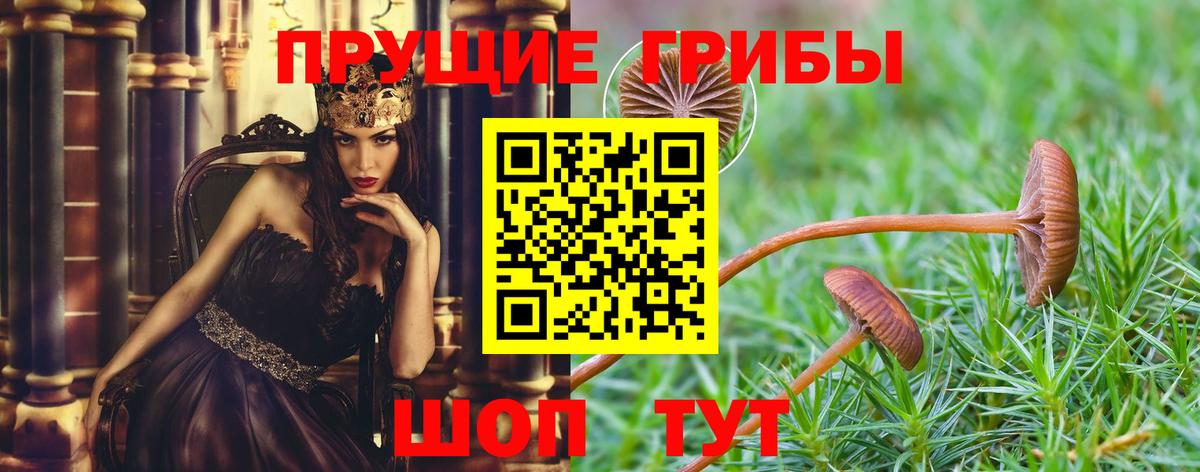 Псилоцибиновые грибы мухоморы  Псилоцибиновые грибы GOLDEN TEACHER  Ишим  Вход с VPN 